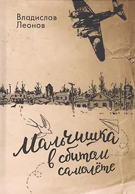 Купить Мальчишка в сбитом самолете — Фото №1