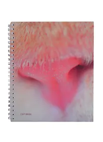 Купить Тетради «Мягкие и пушистые», А5, 96 листов — Фото №1