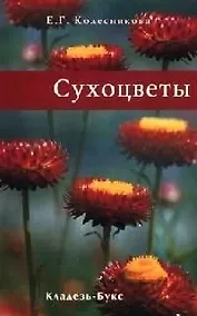 Купить Сухоцветы — Фото №1