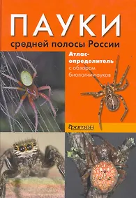 Купить Пауки средней полосы России — Фото №1