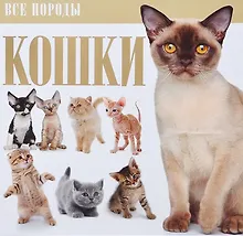 Купить Кошки. — Фото №1