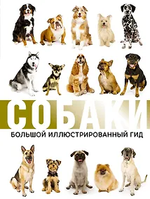 Купить Собаки. Большой иллюстрированный гид — Фото №1