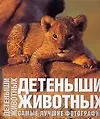 Купить Детеныши животных. Альбом. Самые лучшие фотографии — Фото №1