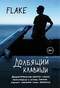 Купить Долбящий клавиши — Фото №1