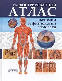 Купить Иллюстрированный атлас анатомии и физиологии человека — Фото №1
