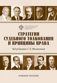 Купить Стратегии судебного толкования и принципы права. Учебное пособие — Фото №1