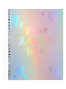 Купить Тетрадь 80л кл. СПб "Питер я люблю тебя" обл.пласт., спираль — Фото №1