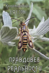 Купить Правдивее реальности — Фото №1