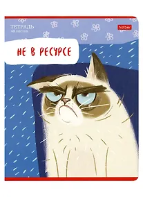 Купить Тетрадь в линейку Hatber, "Кот-обормот", 48 листов, в ассортименте — Фото №1