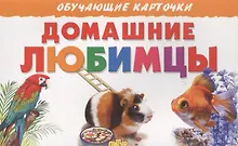 Купить Домашние любимцы — Фото №1