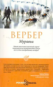 Купить Муравьи — Фото №1