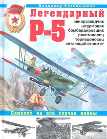 Купить Легендарный Р-5 - авиаразведчик, штурмовик, бомбардировщик, ракетоносец, торпедоносец, летающий огнемет — Фото №1