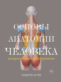 Купить Основы анатомии человека. Наглядное руководство для художников — Фото №1