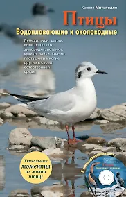 Купить Птицы.Водоплавающие(+CD) — Фото №1