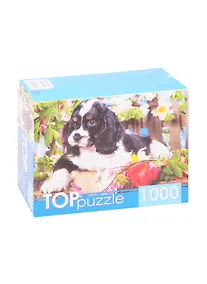 Купить Пазл Щенок спаниеля в саду TOPpuzzle 1000 элементов ГИТП1000-2143 — Фото №1