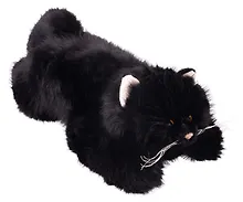 Купить Мягкая игрушка Котик пушистый (черный) (60см) (12-20251028-7L) — Фото №1