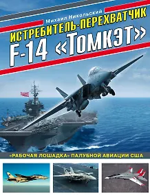 Купить Истребитель-перехватчик F-14 «Томкэт». «Рабочая лошадка» палубной авиации США — Фото №1