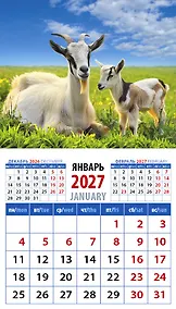 Купить Календарь 2027г 94*167 «Год козы. Заботливая мама с малышом» на магните — Фото №1