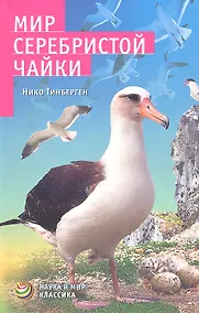 Купить Мир серебристой чайки. — Фото №1