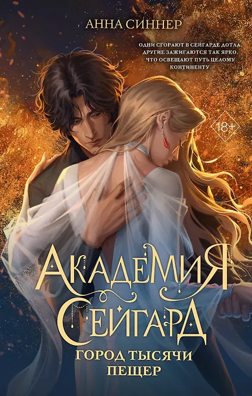 Купить Академия Сейгард. Город тысячи пещер — Фото №1