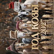 Купить Символ года 2027: "Год Козы" — Фото №1