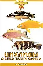 Купить Цихлиды озера Танганьика — Фото №1