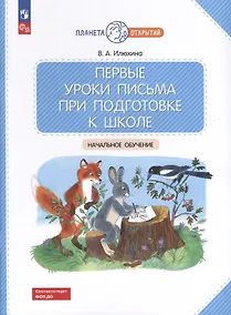 Купить Первые уроки письма при подготовке к школе: начальное обучение — Фото №1