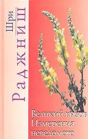 Купить Великий вызов. Измерения неведомого — Фото №1