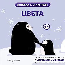 Купить Цвета — Фото №1