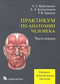 Купить Практикум по анатомии человека. В четырех частях. Часть первая. Опорно-двигательная система — Фото №1