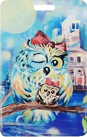 Купить Чехол для карточек Подмигивающая сова с совенком — Фото №1