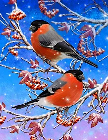 Купить Холст с красками 17x22см по номерам в коробке (14 цв.) Снегири на веточках (Арт. ХК-2285) — Фото №1