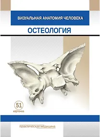 Купить Визуальная анатомия человека: Остеология: учебное пособие (51 карточка) — Фото №1