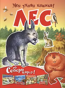 Купить Лес. Собери карту 6+ — Фото №1