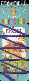 Купить Волшебный шнурок. Окружающий мир. Растения и грибы. — Фото №1