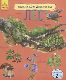 Купить Лес — Фото №1