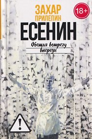 Купить Есенин: Обещая встречу впереди — Фото №1