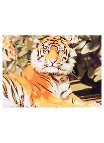 Купить Холст с красками по номерам 22х30см ТМ Рыжий кот Тигр в джунглях (13цв) HS103A — Фото №1