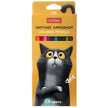 Купить Карандаши цветные 24цв "Пушистый философ" к/к, подвес — Фото №1