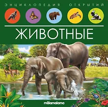 Купить Животные. Книжка-панорамка — Фото №1