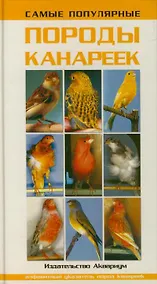 Купить Самые популярные породы канареек — Фото №1