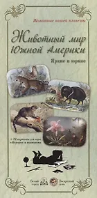 Купить Животный мир Южной Америки. Яркие и юркие: 72 карточки для игры Мемори и викторины — Фото №1