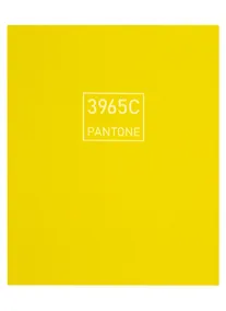 Купить Книга для записей А5+ 96л лин. "Императорский лимон" интеграл.перепл., матов.ламин., выб.лак — Фото №1