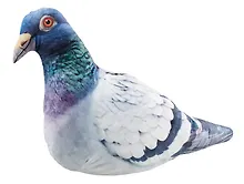 Купить Мягкая игрушка Голубь большой (80 см) (3.43.1) — Фото №1