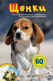 Купить Щенки — Фото №1