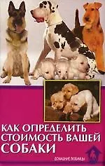 Купить Как определить стоимость вашей собаки — Фото №1