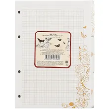 Купить Сменный блок для тетради на кольцах «Buterfly», 120 листов — Фото №1