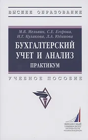 Купить Бухгалтерский учет и анализ. Практикум. Учебное пособие — Фото №1