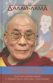 Купить Вспышка молнии во мраке ночи. Краткий комментарий к «Бодхичарья-аватаре» Шантидевы — Фото №1