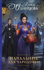 Купить Начальник для чародейки — Фото №1